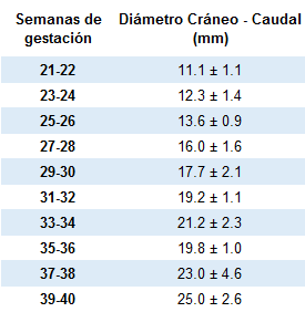 Altura Vermis del Cerebelo (tabla)